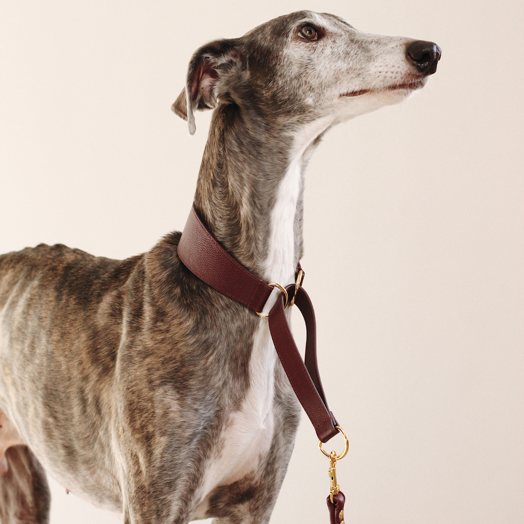 Martingale collar