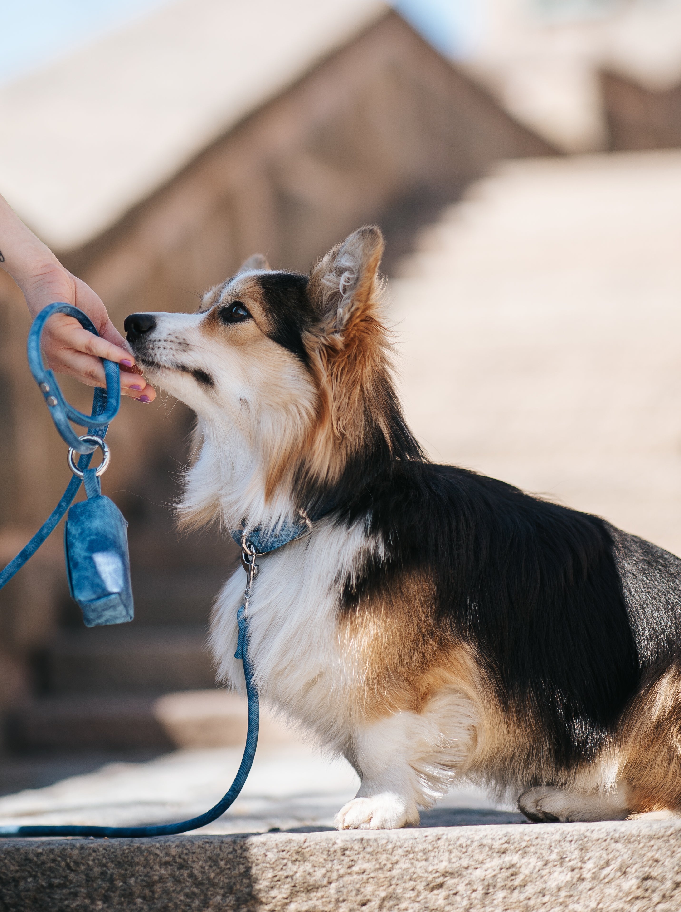 Dog Poop Bag Holders