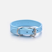 Baby Blue Dog Collar Thin