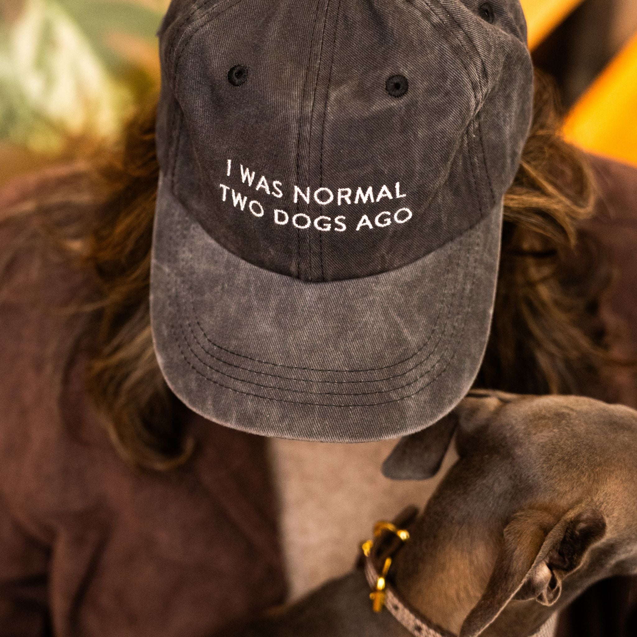 black-denim-cap-i-was-normal-two-dogs-ago-woman.jpg