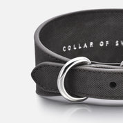 Black Denim Dog Collar Wide