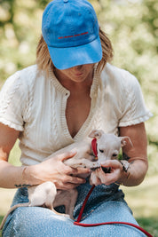 Blue Denim Cap - Anti-Social Dog Owner