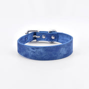 Blue Denim Dog Collar Thin