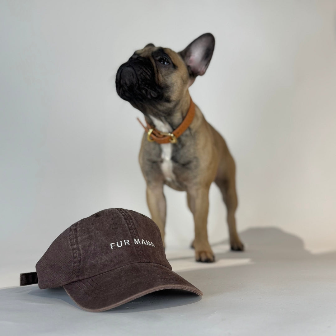 Brown Denim Cap - Fur Mama