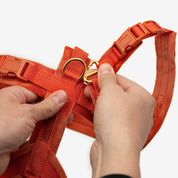 Cognac Y-Harness