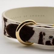 Cow Dog Collar Thin