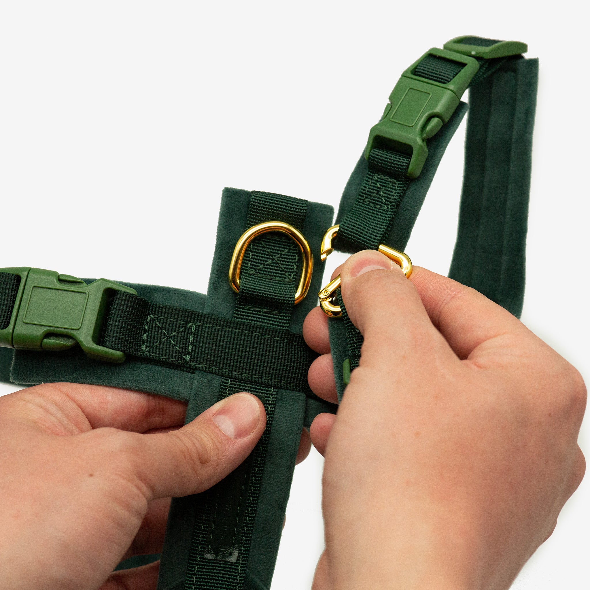 Dark Green Y-Harness