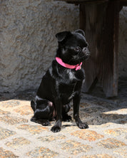Glossy Pink Dog Collar Thin
