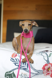 Hot Pink Dog Lead