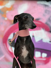 Pink Dog Lead