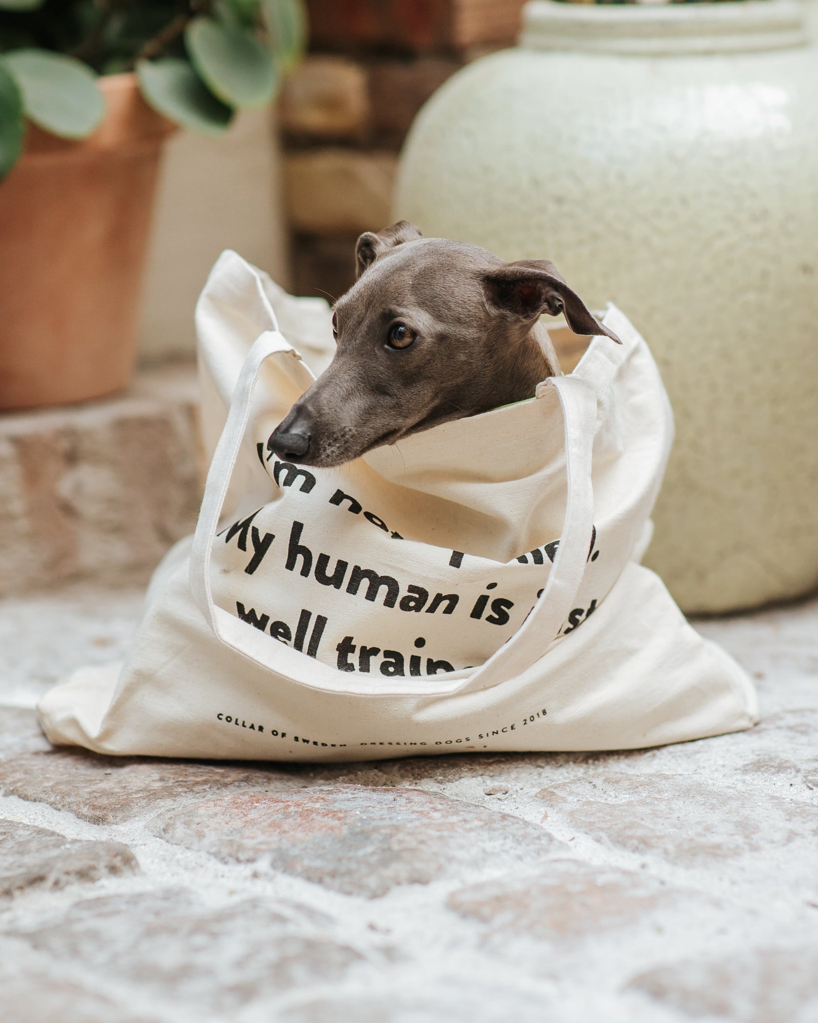 Standard Tote Bag - I'm Not Spoiled My Human Is Just Well Trained