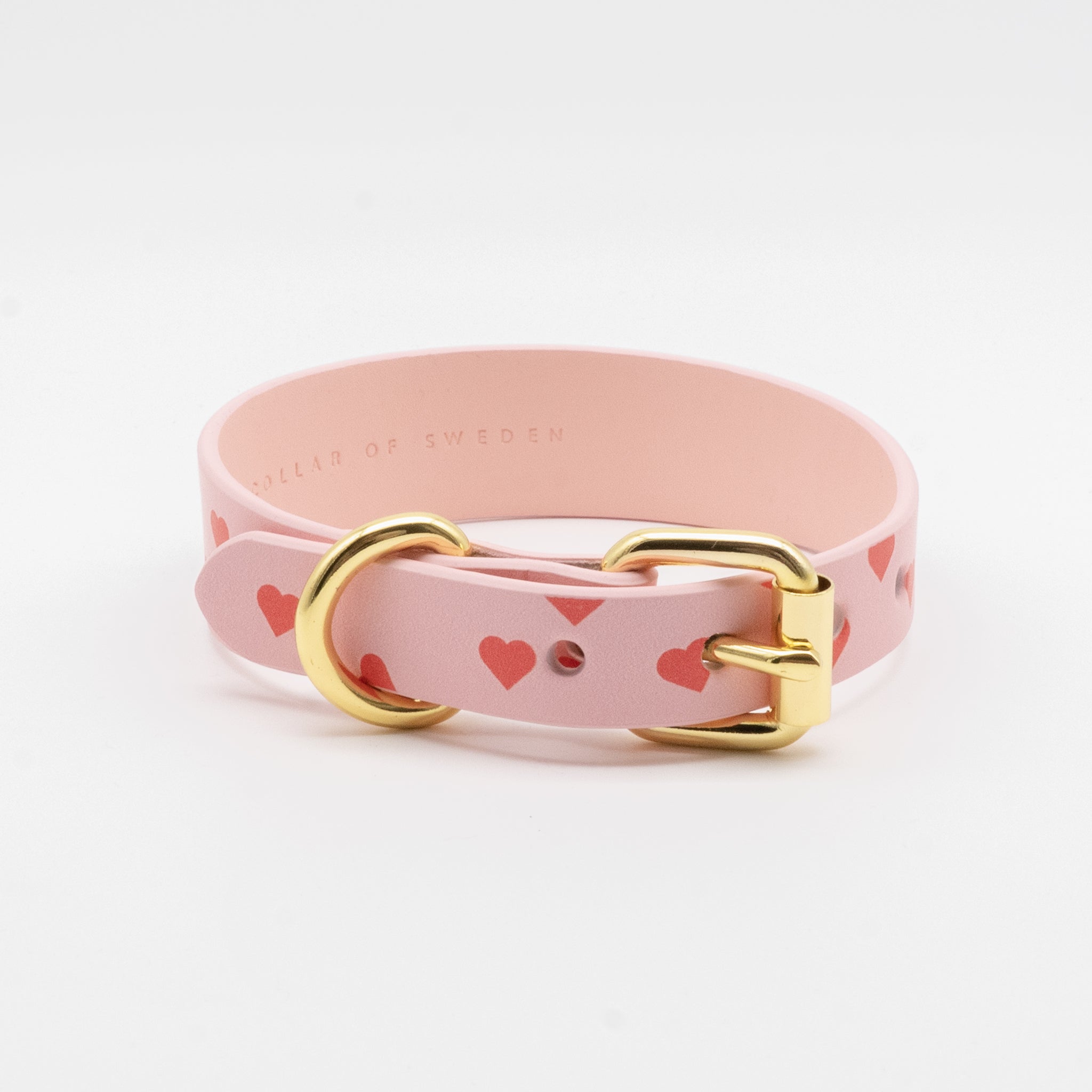 love-dog-collar-medium-thin-front.jpg