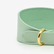 Mint Dog Collar Wide