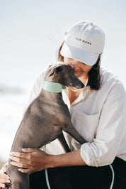 Mint Dog Collar Wide