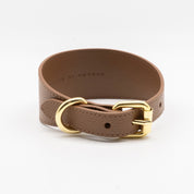 Mocha Brown Dog Collar Wide