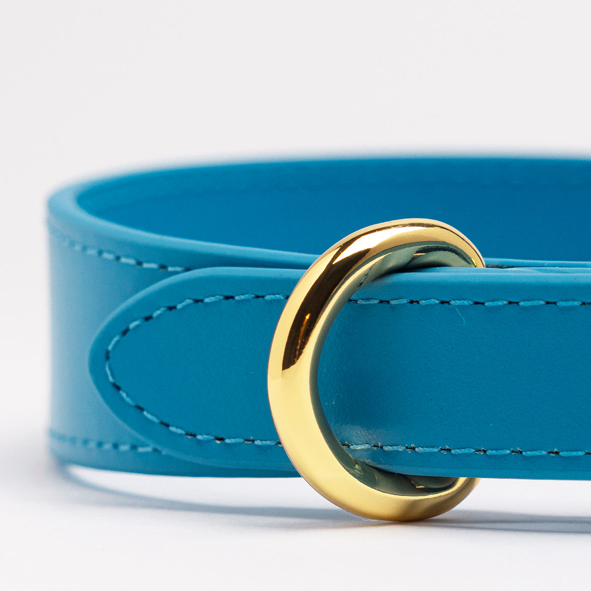 Neon Blue Dog Collar Thin