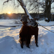 Beige & Brown Sighthound Fleece Onesie
