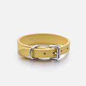Pastel Yellow Dog Collar Thin