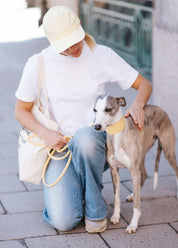 Pastel Yellow Dog Collar Wide