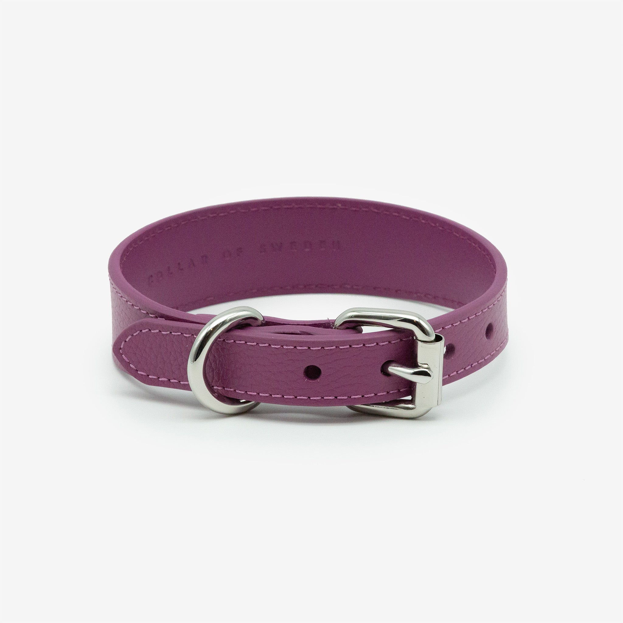 purple-dog-collar-thin-back.jpg