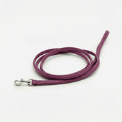 Purple Dog Lead