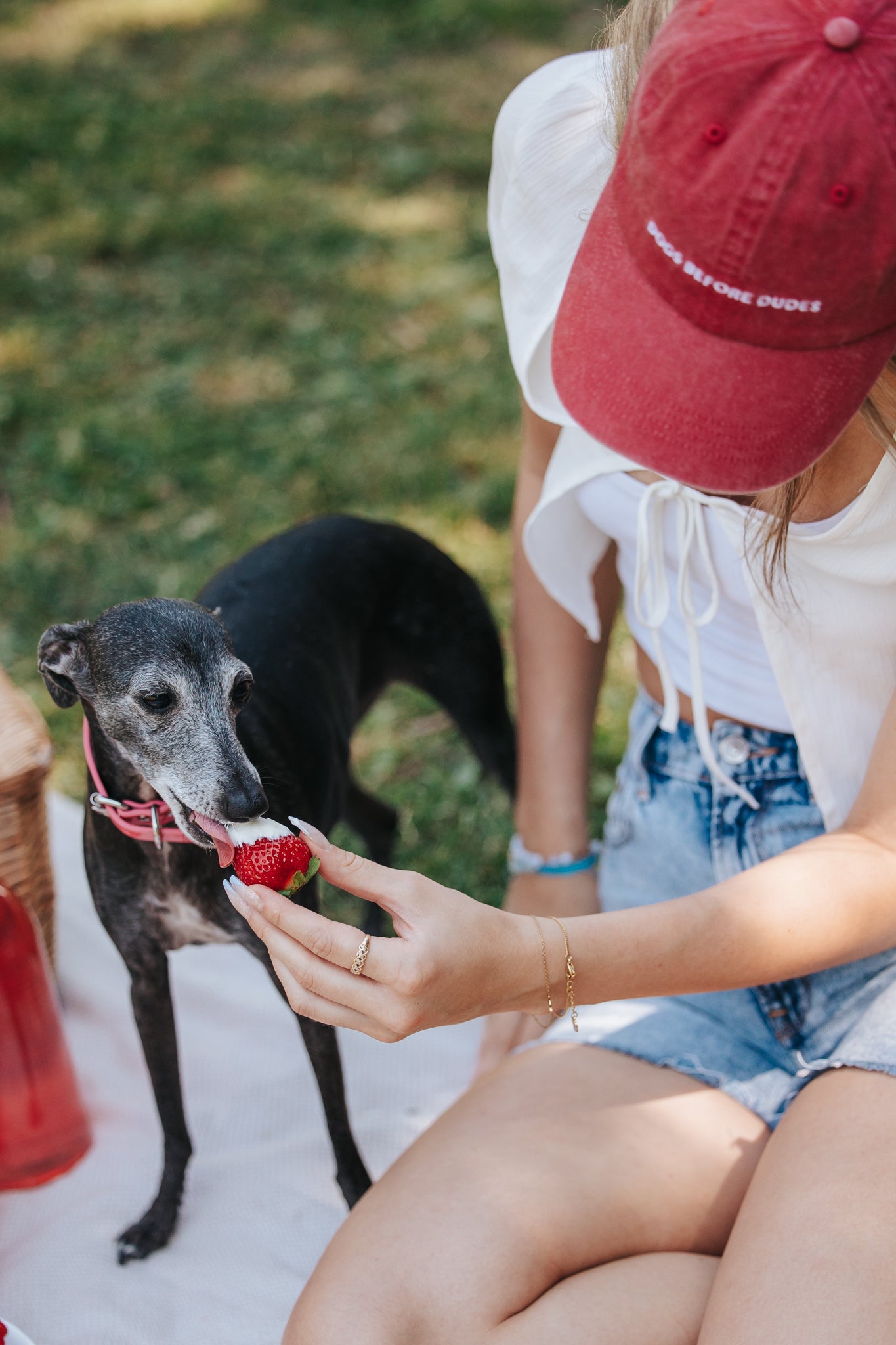 Red Denim Cap - Dogs Before Dudes