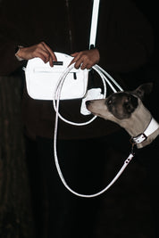 Reflective Silver Dog Walking Bag - Crossbody