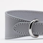 Reflective Silver Dog Collar Wide