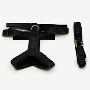 Black Y-Harness