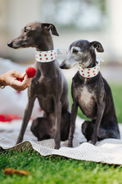 Strawberry Dog Collar Wide