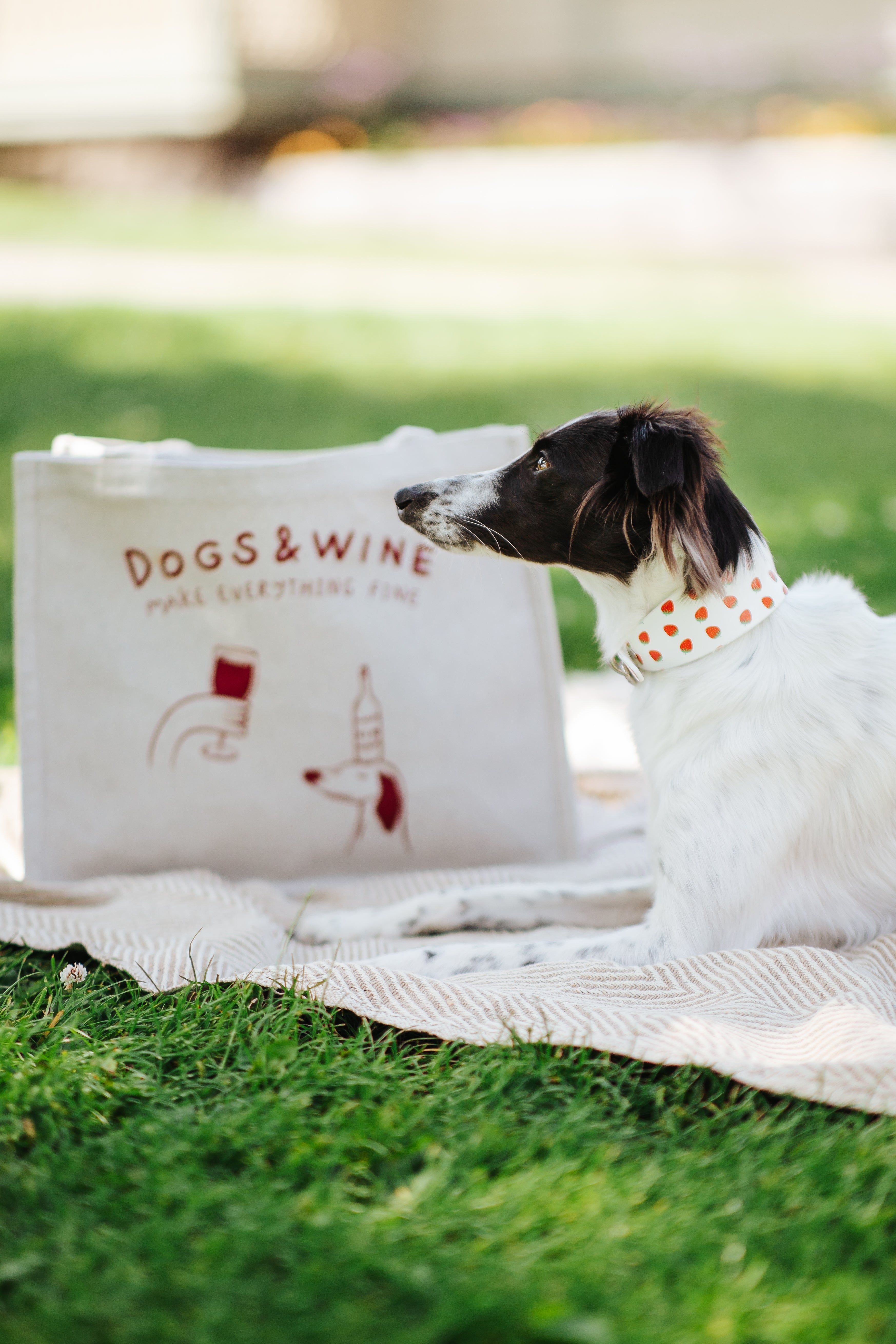 Beige Premium Tote Bag - Dogs & Wine Make Everything Fine
