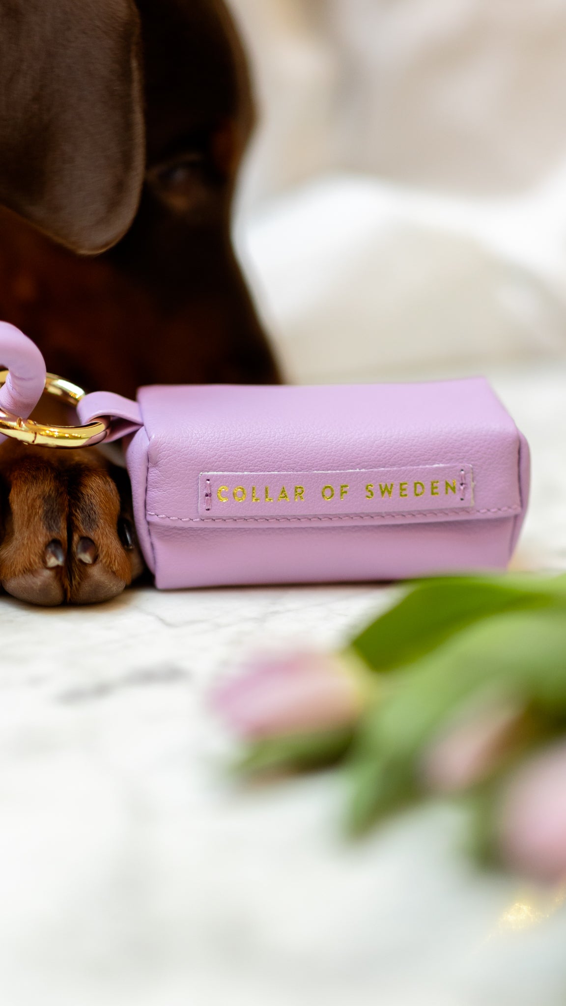 Violet Poop Bag Holder