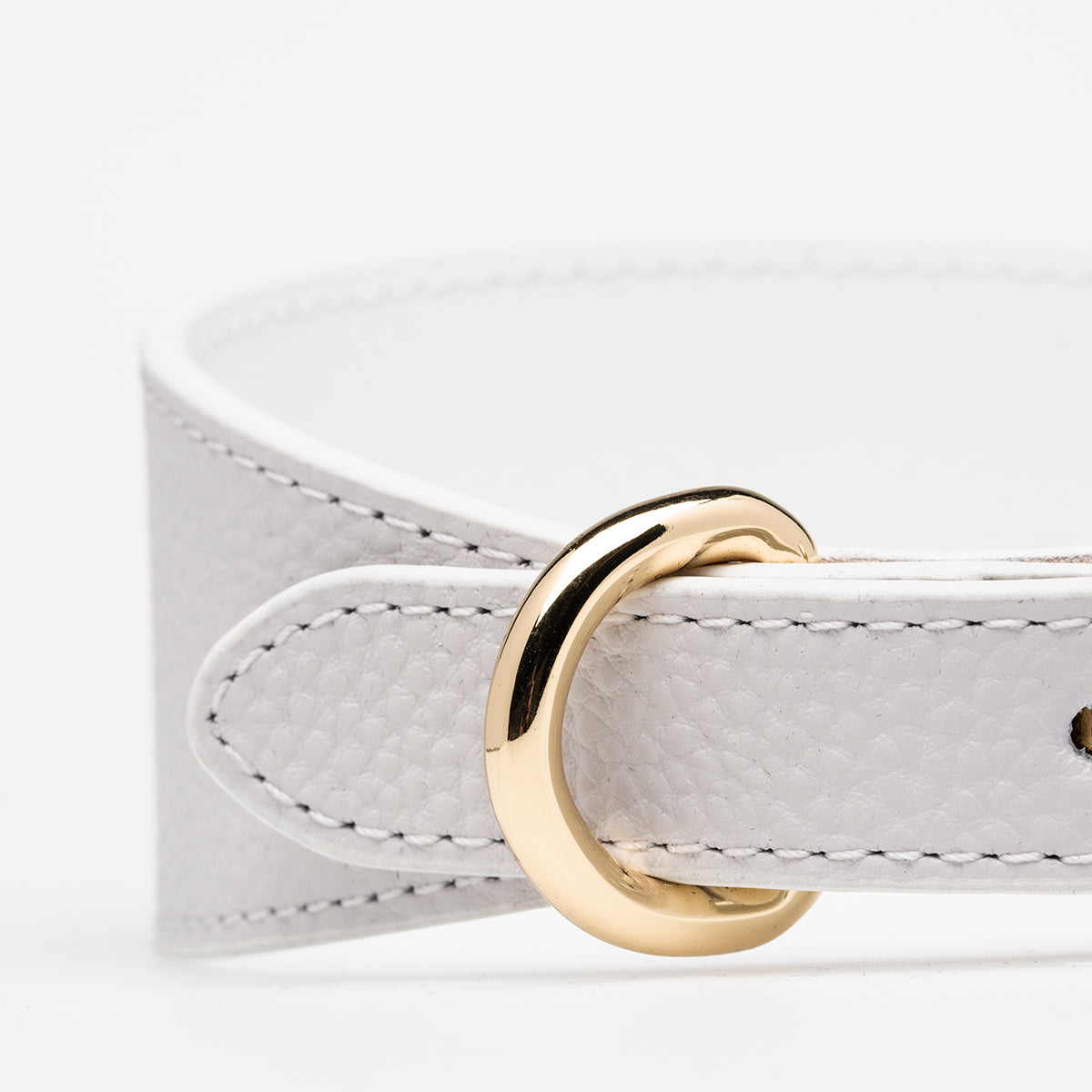 White Dog Collar Wide