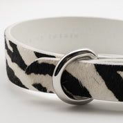 Zebra Dog Collar Thin